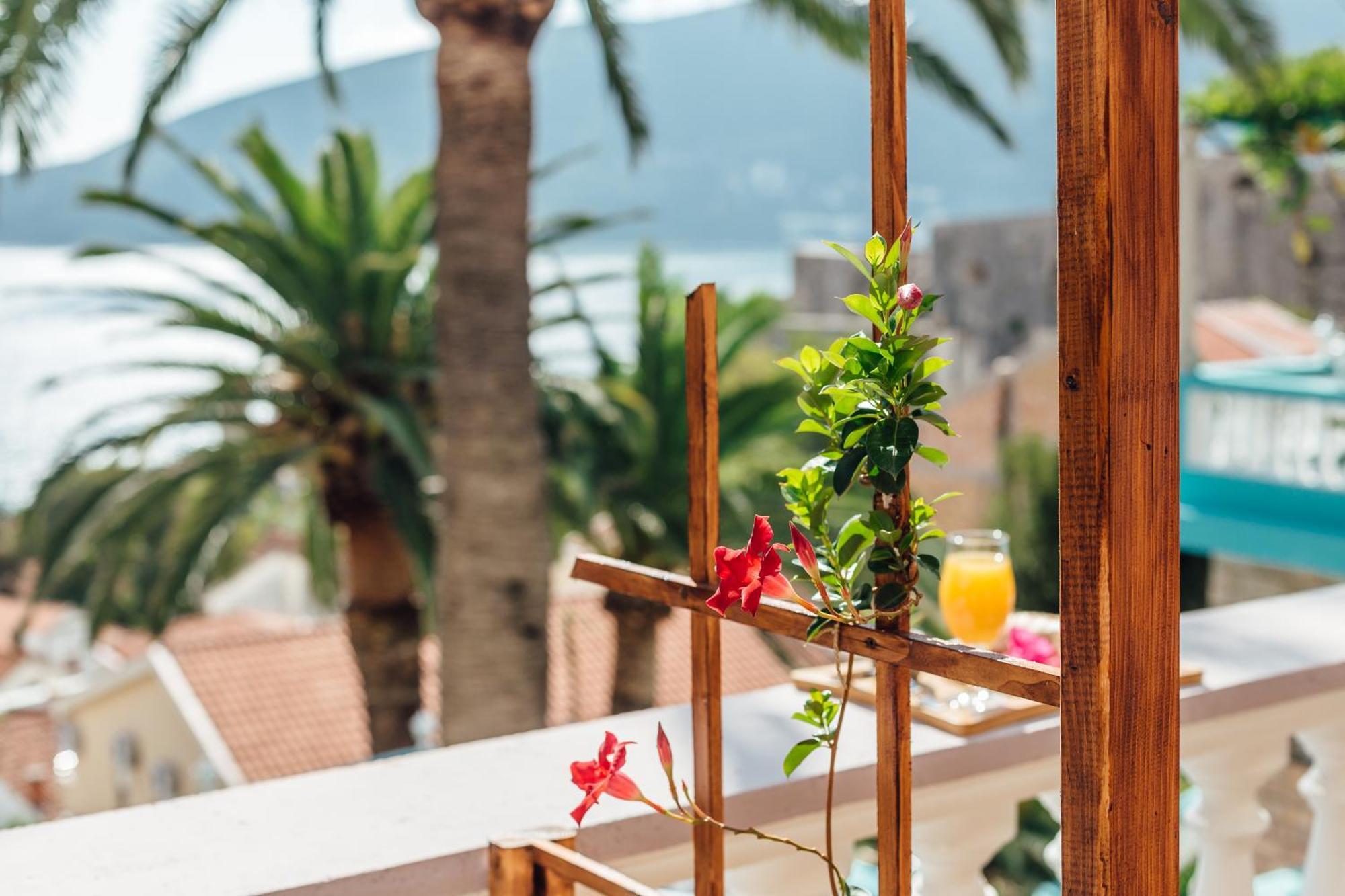Apartments Belvedere Herceg Novi Rom bilde