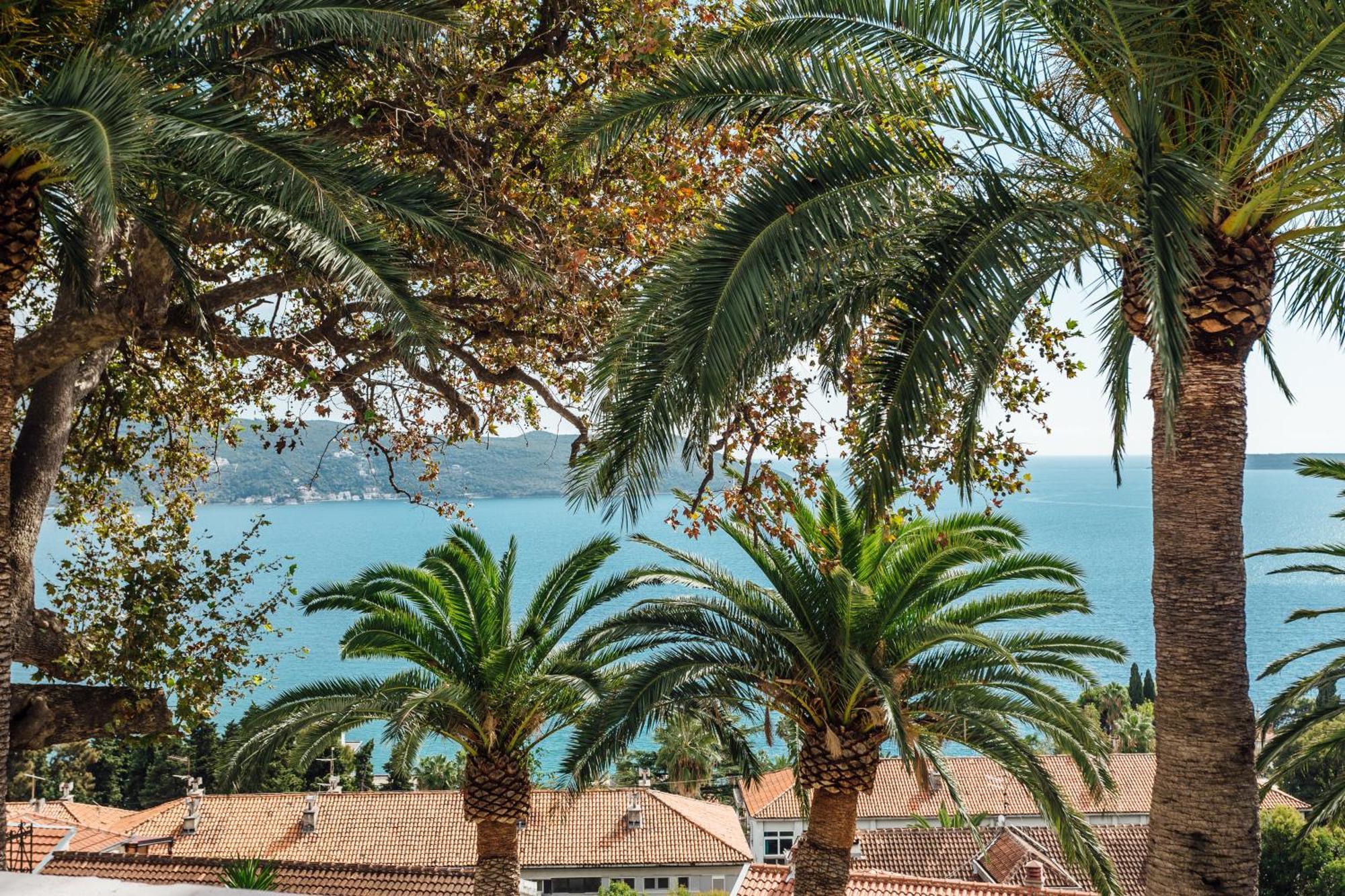 Apartments Belvedere Herceg Novi Rom bilde
